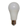 A60 9W RGBCW Smart Bulb