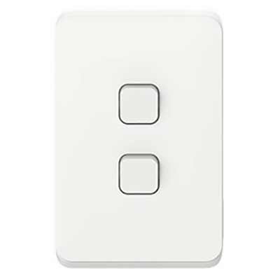 Flush Switches