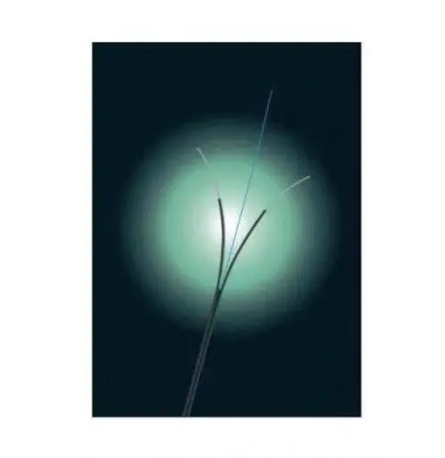 Actassi 2 Core SM G.652D FTTH FRP LSZH Indoor Fiber Cable