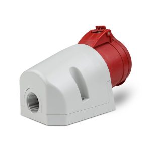 Phool Bowl Price in Pakistan