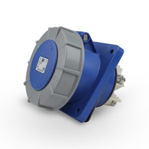 sunny day rug Price in Pakistan