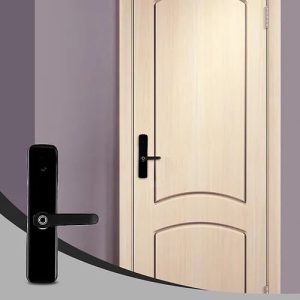 BlueDot Smart Wifi Door Lock Price In Pakistan